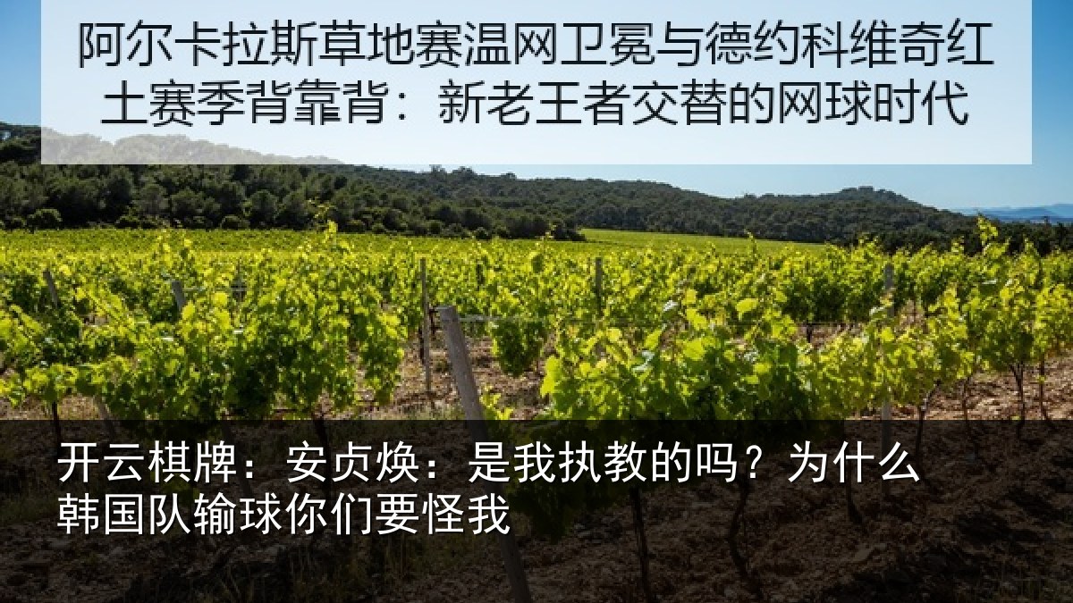 开云棋牌:安贞焕:是我相关情况国队输球你们要怪我